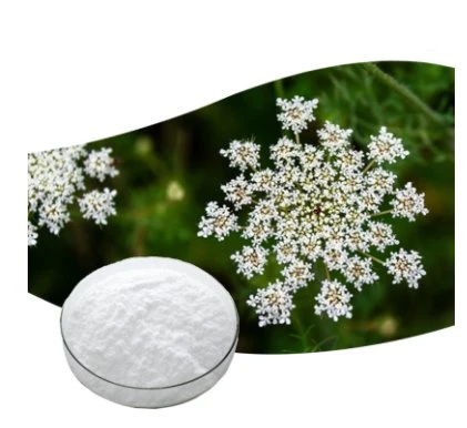 Cnidium extract powder price