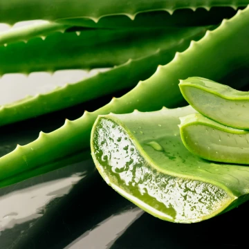 Siipikarjan hoito Aloe Veralla