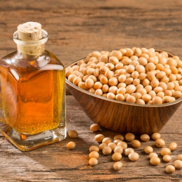 Hydrolysoitu soijaproteiini koirille